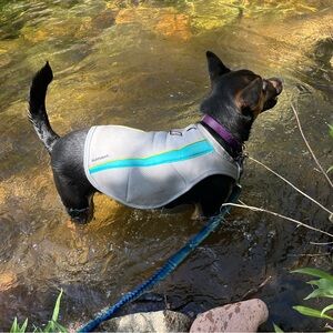 RuffWear Swamp Cooler Vest for Dogs XS